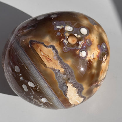 Carnelian Orca Agate Freeform #14