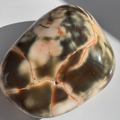 Carnelian Orca Agate Freeform #17