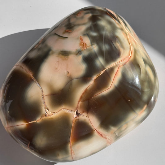 Carnelian Orca Agate Freeform #17