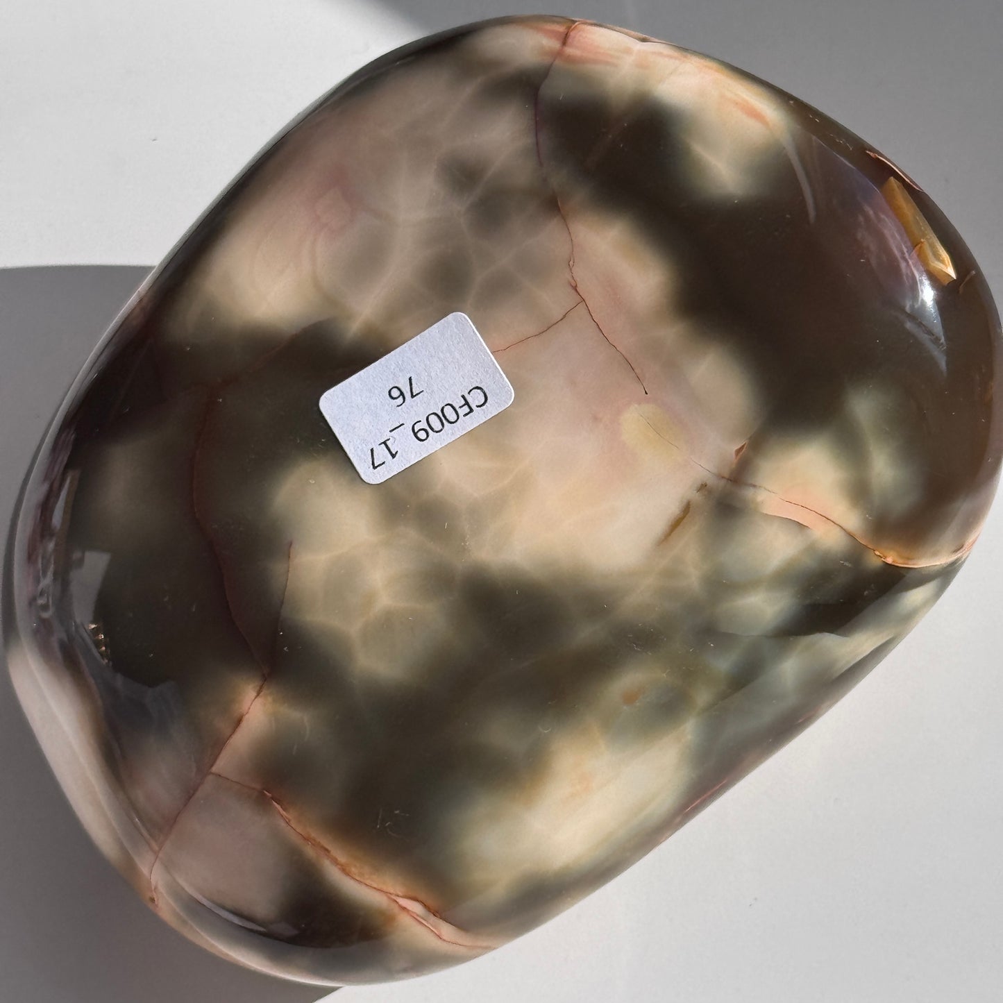 Carnelian Orca Agate Freeform #17