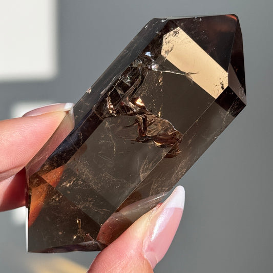 Dark Smoky Quartz Polished DT (EXTRA GRADE) #2