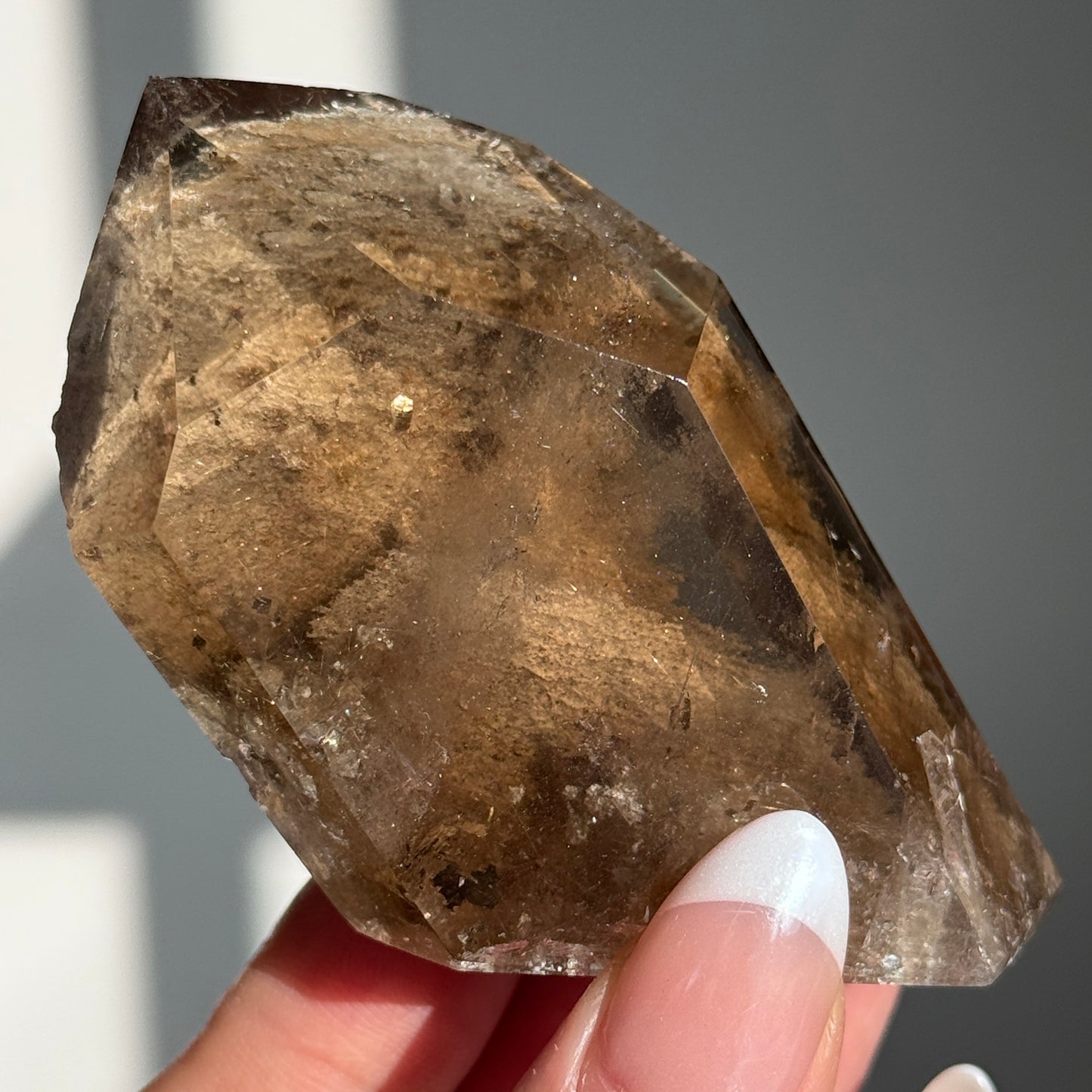 HQ Smoky Quartz Rutile w/ Lodolite Freeform #2