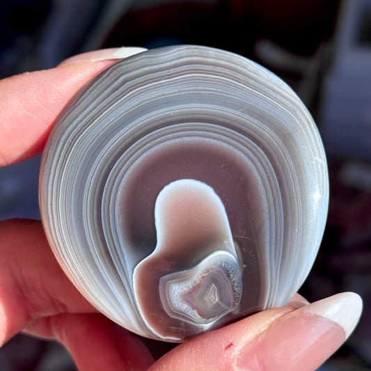Polished Botswana Agate Freeform #2
