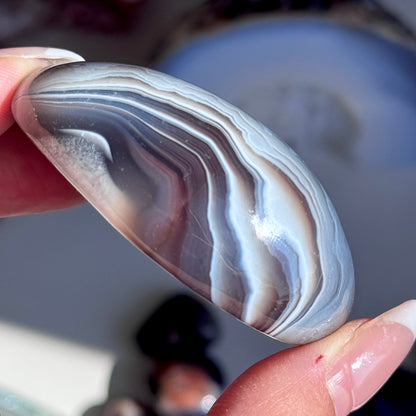 Polished Botswana Agate Freeform #4