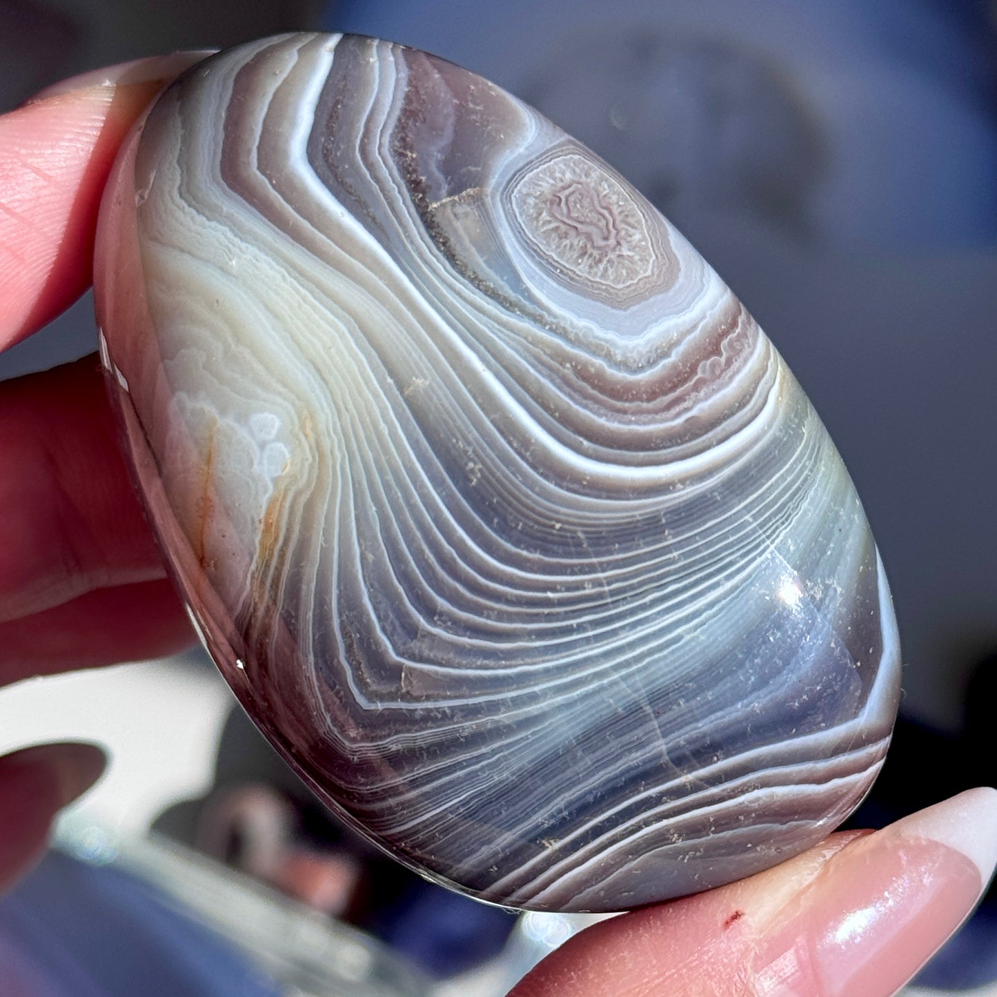 Polished Botswana Agate Freeform #6
