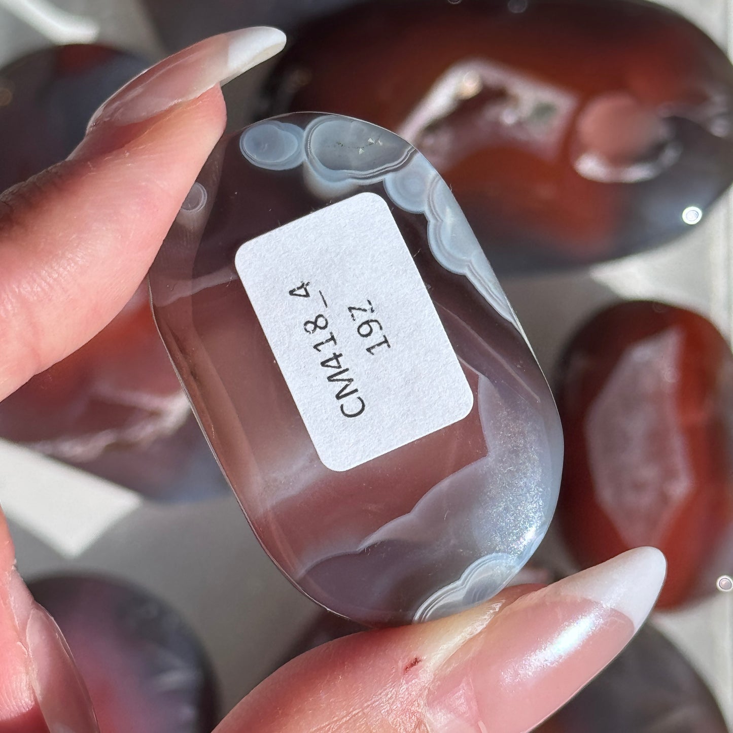 Mozambique Strawberry Agate Palm (Batch 2) #4