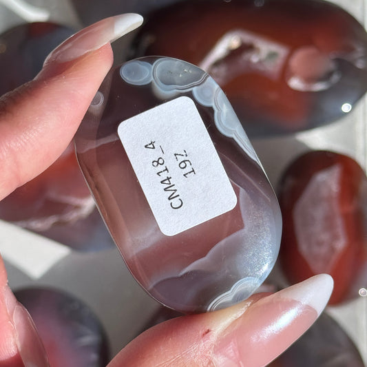 Mozambique Strawberry Agate Palm (Batch 2) #4