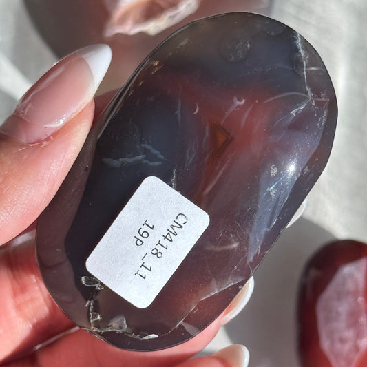 Mozambique Strawberry Agate Palm (Batch 2) #11