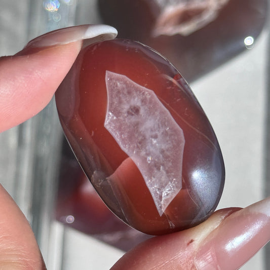 Mozambique Strawberry Agate Palm (Batch 2) #14