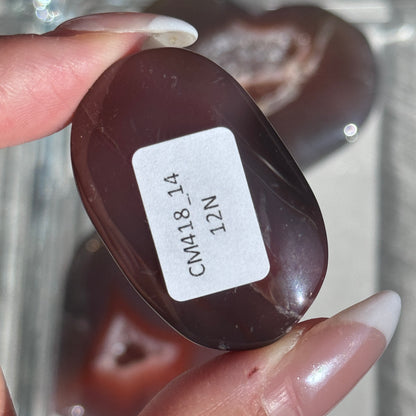 Mozambique Strawberry Agate Palm (Batch 2) #14