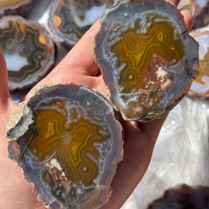 High Atlas Mt Moroccan Agate Pair [Ouarzazate, Morocco] #4