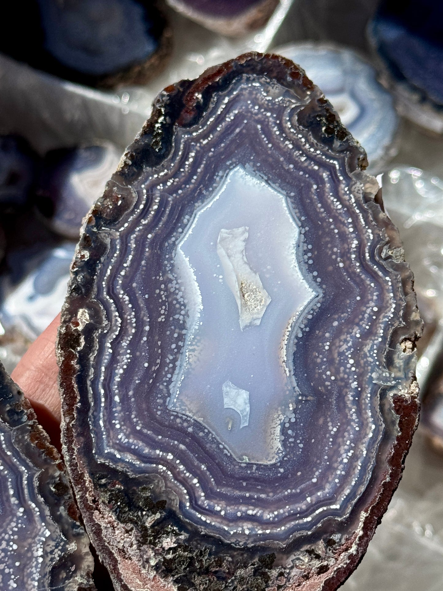 XL Statement Starry Night Agate Geode #21a