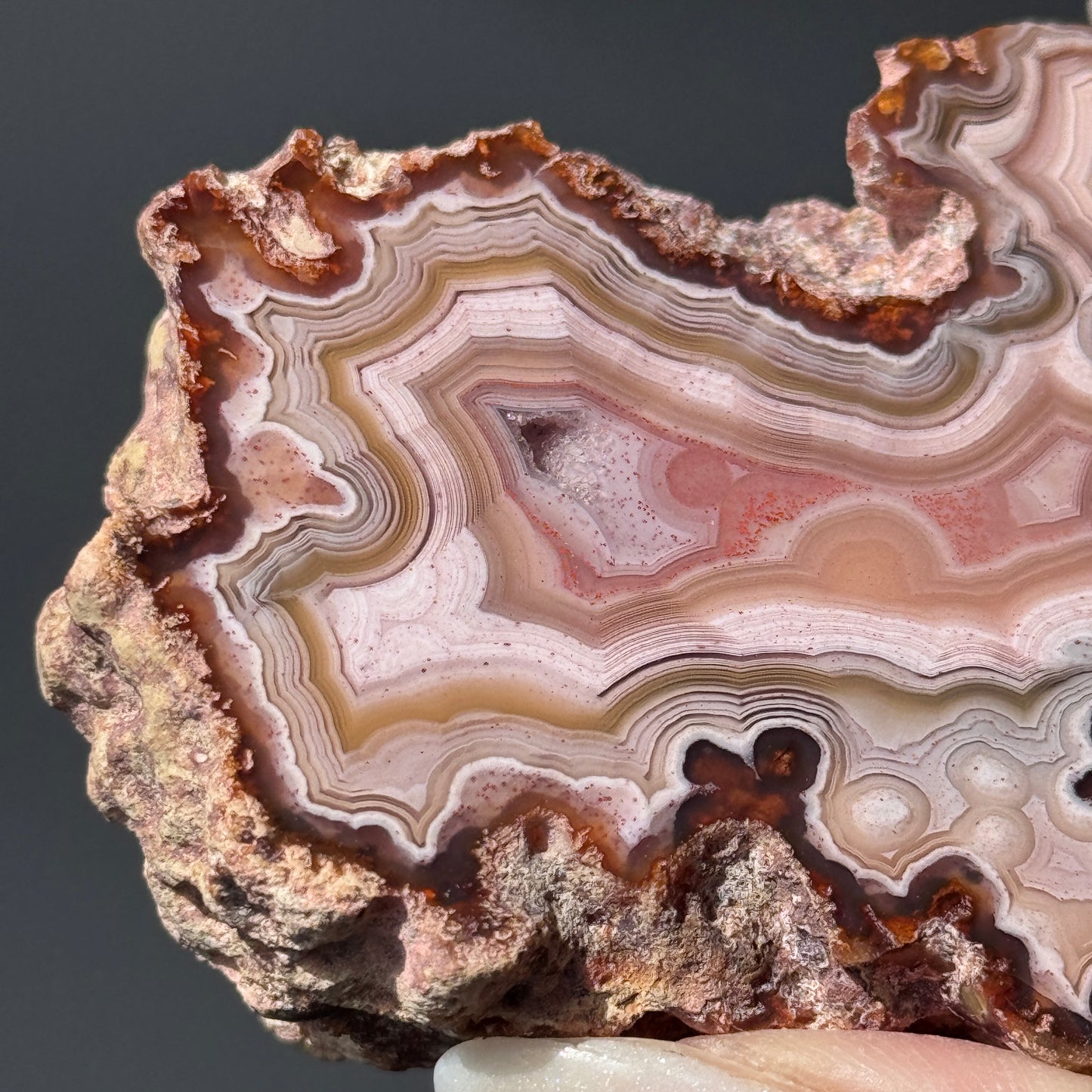 Pink Laguna Agate Geode #1