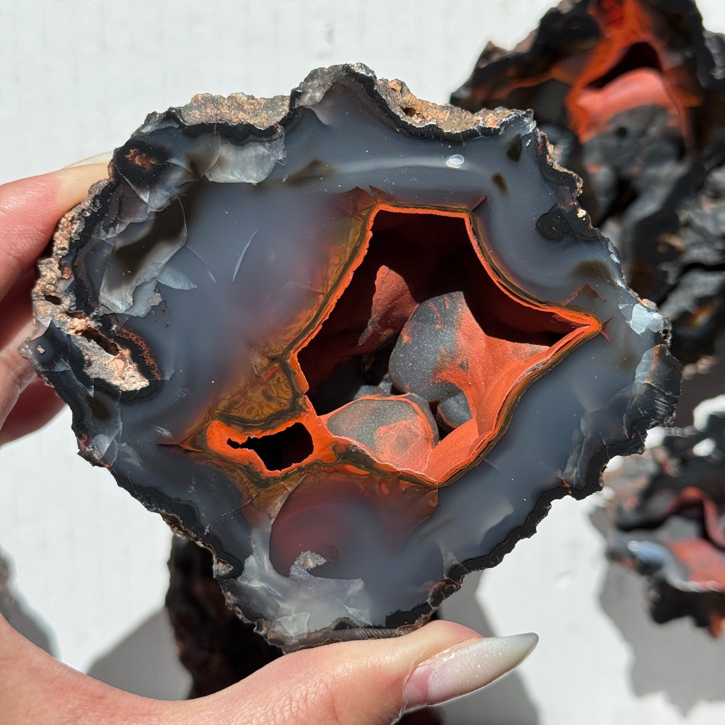 Red Fox Agate Geode (UV Reactive) #4