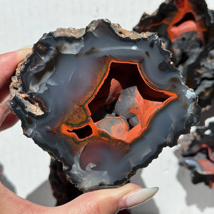 Red Fox Agate Geode (UV Reactive) #4