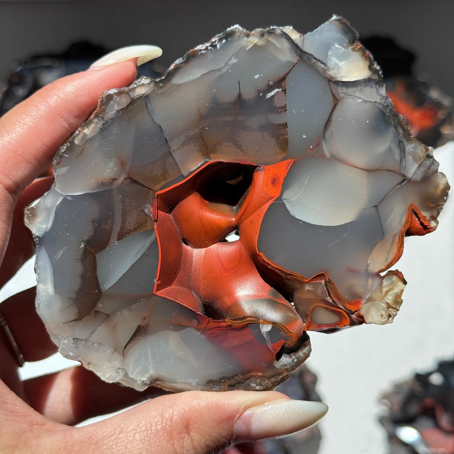 Red Fox Agate Geode (UV Reactive) #1