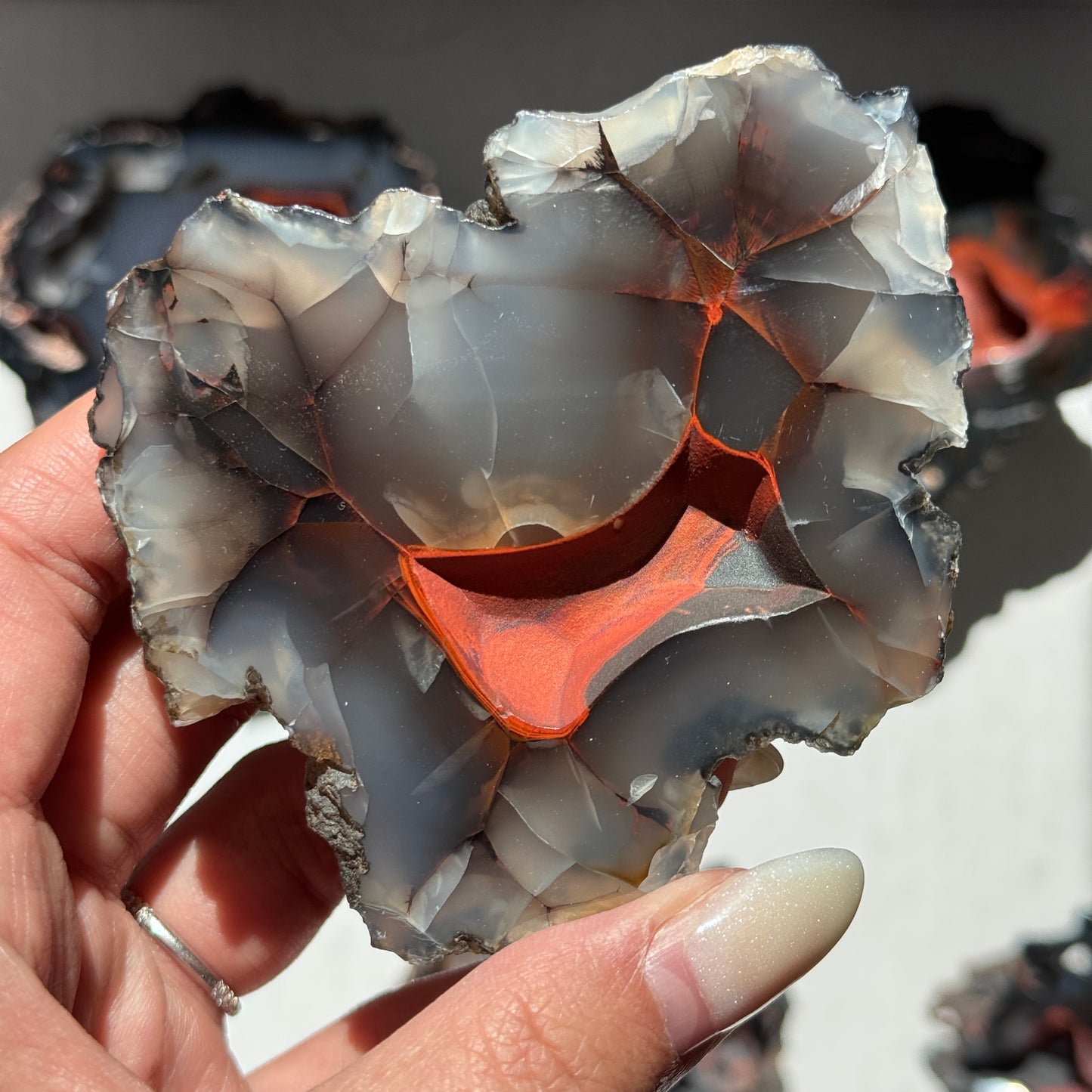 Red Fox Agate Geode (UV Reactive) #6