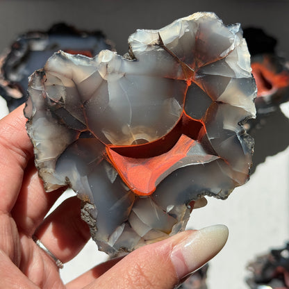 Red Fox Agate Geode (UV Reactive) #6