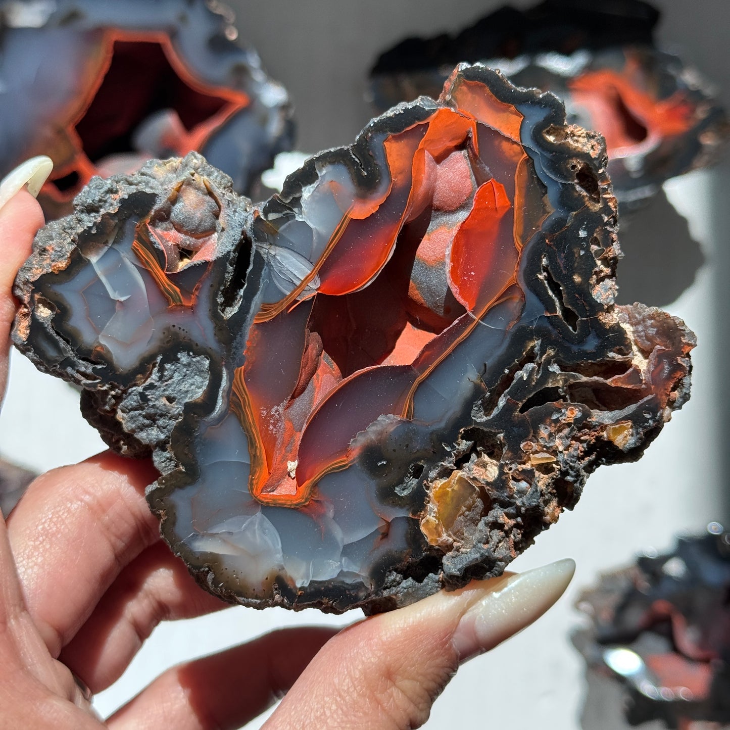 Red Fox Agate Geode (UV Reactive) #7
