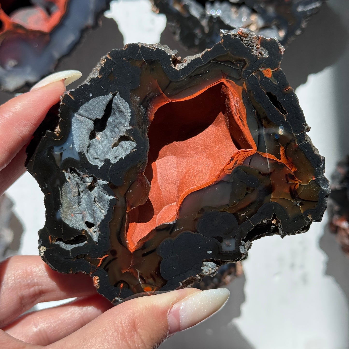 Red Fox Agate Geode (UV Reactive) #3