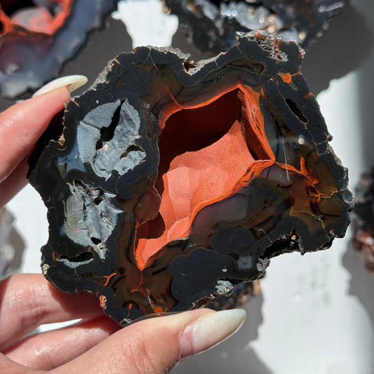 Red Fox Agate Geode (UV Reactive) #3