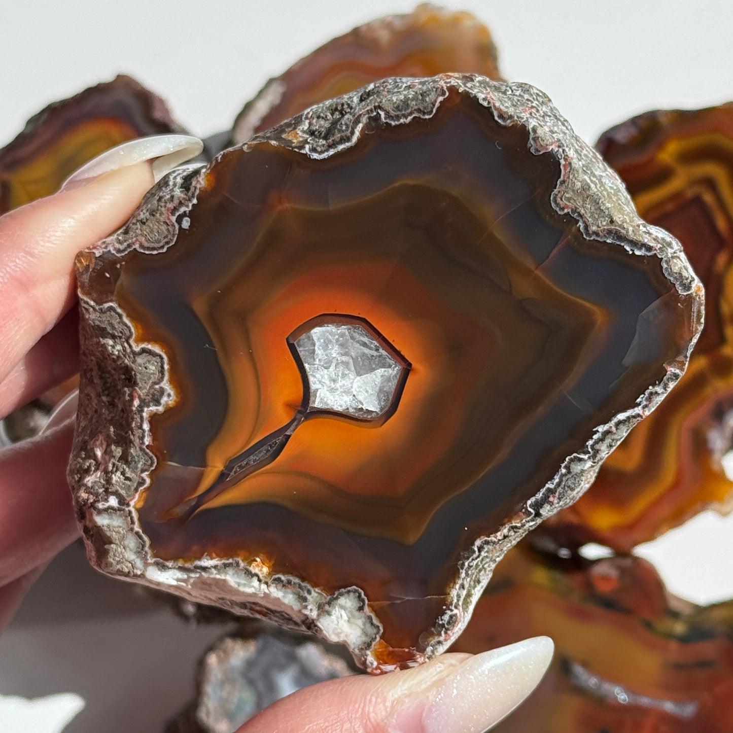 Condor Agate Geode [Argentina] #31
