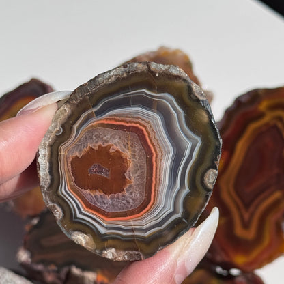 Condor Agate Geode [Argentina] #17