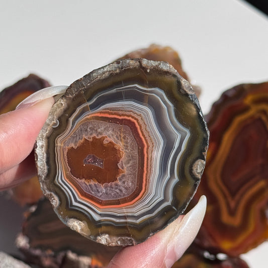 Condor Agate Geode [Argentina] #17
