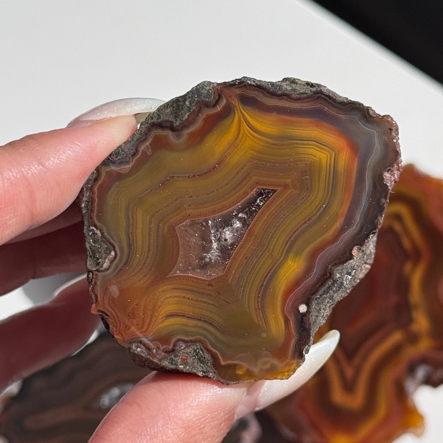 Condor Agate Geode [Argentina] #22