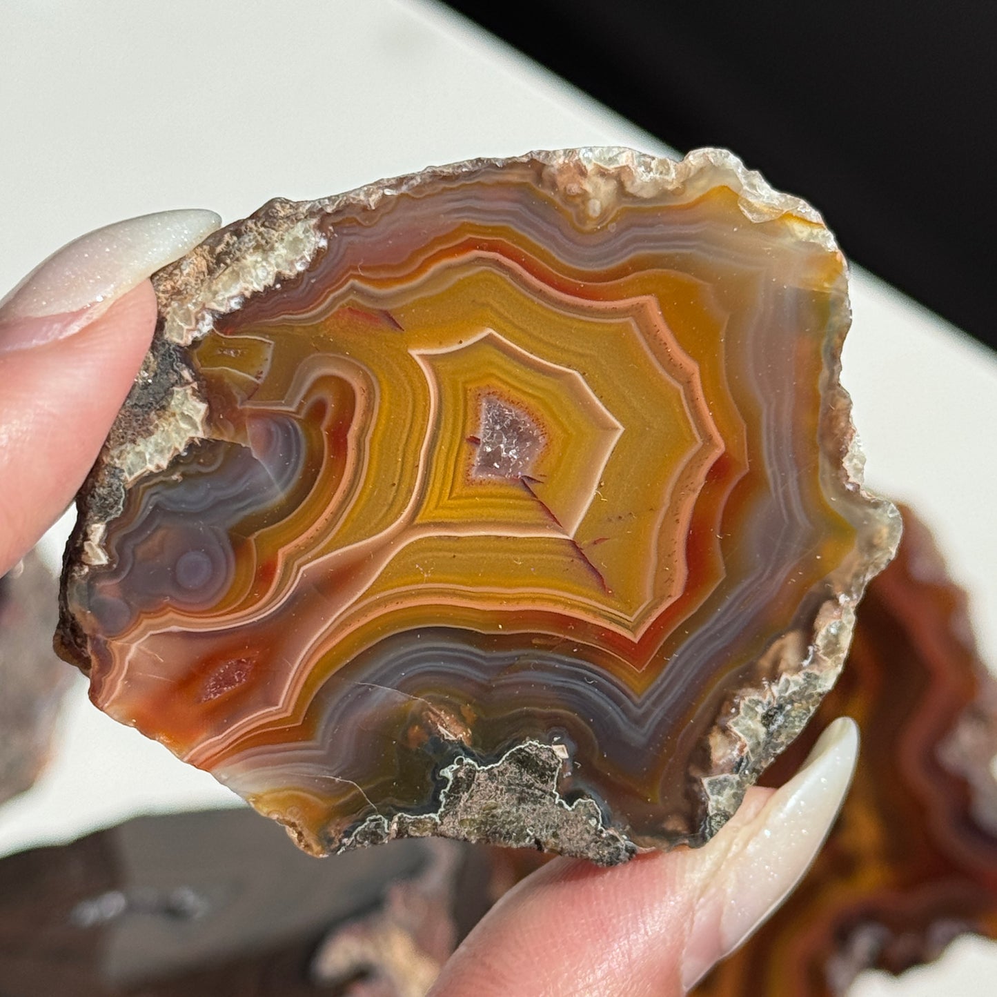 Condor Agate Geode [Argentina] #21