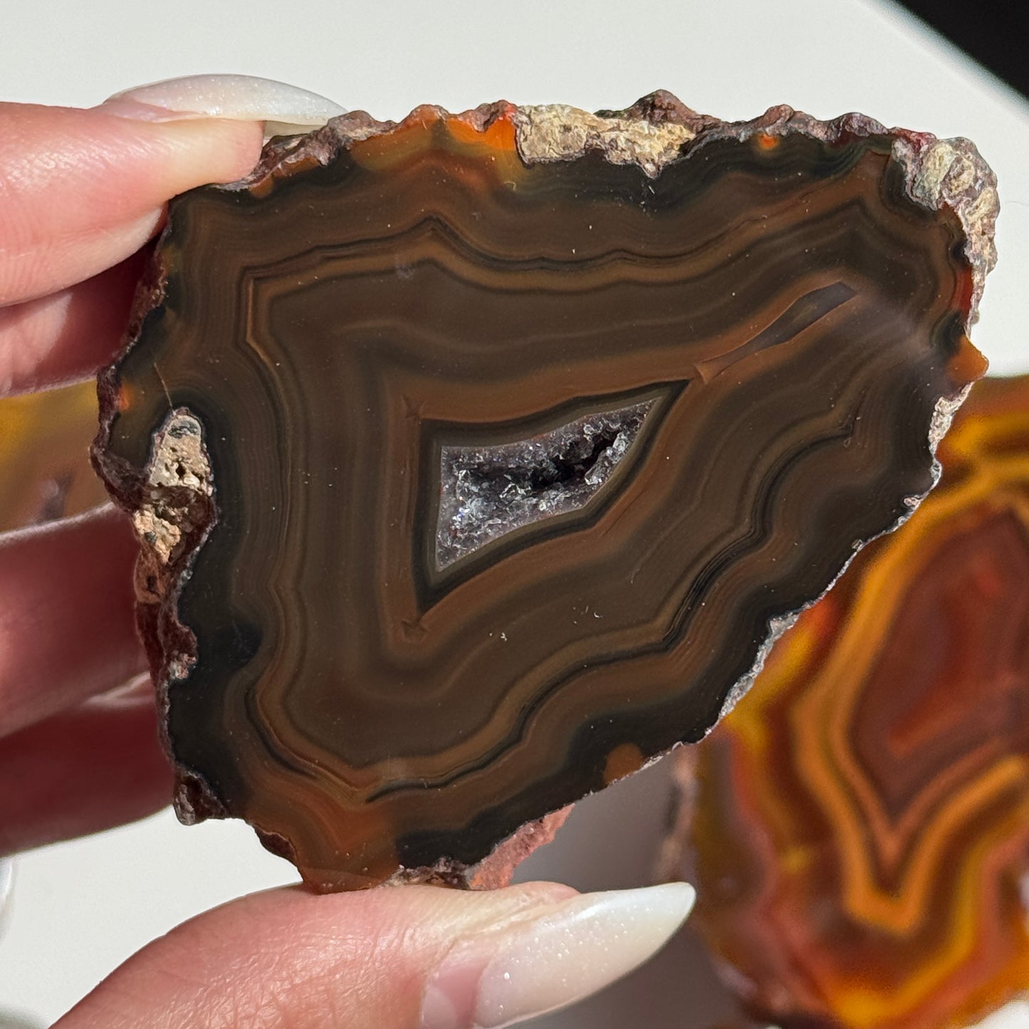 Condor Agate Geode [Argentina] #33