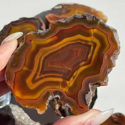 Condor Agate Geode [Argentina] #34