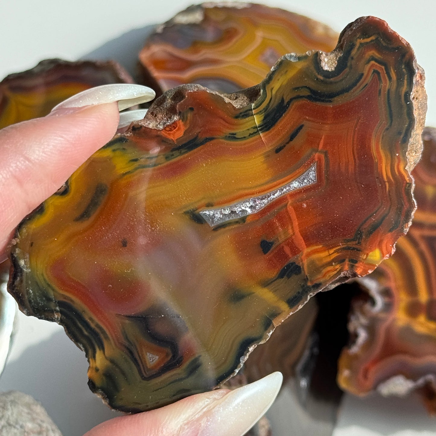 Condor Agate Geode [Argentina] #18
