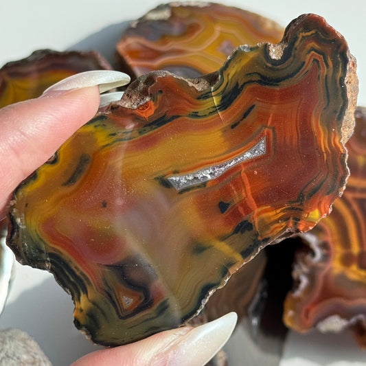 Condor Agate Geode [Argentina] #18
