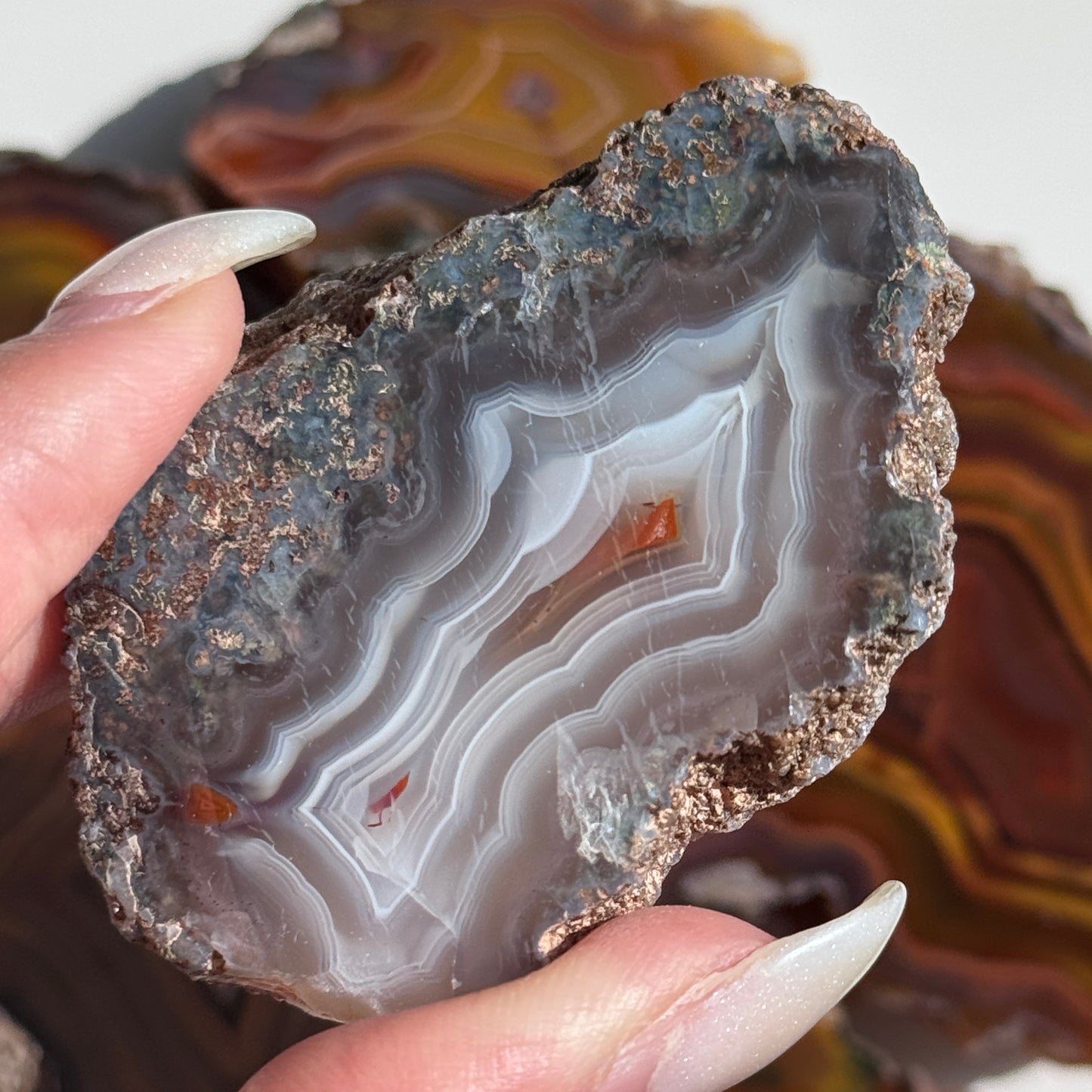 Condor Agate Geode [Argentina] #16