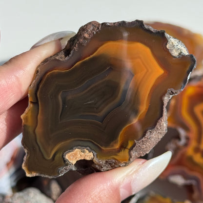 Condor Agate Geode [Argentina] #32