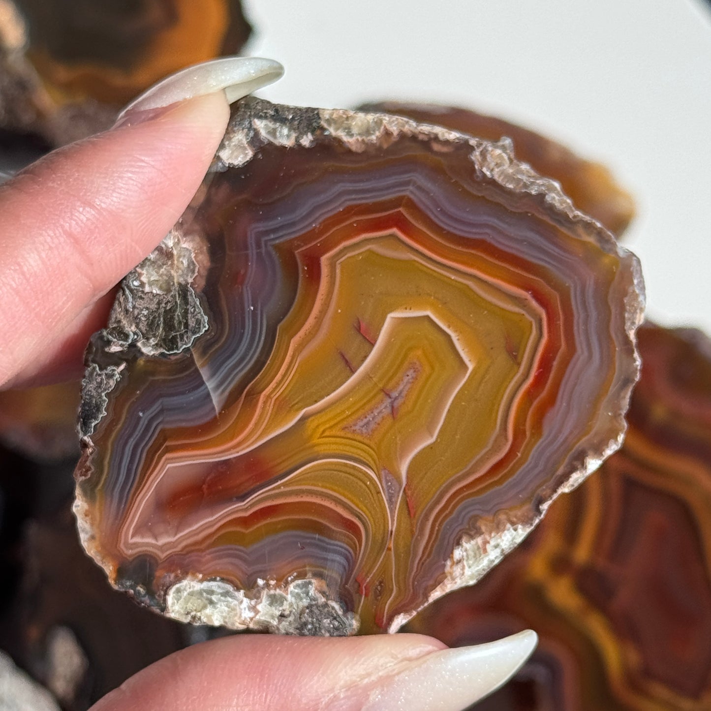 Condor Agate Geode [Argentina] #26
