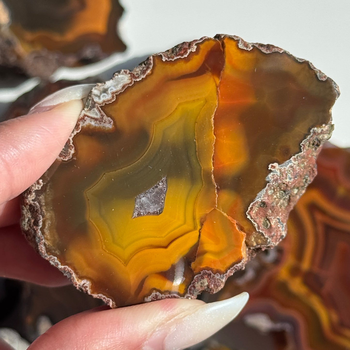 Condor Agate Geode [Argentina] #27