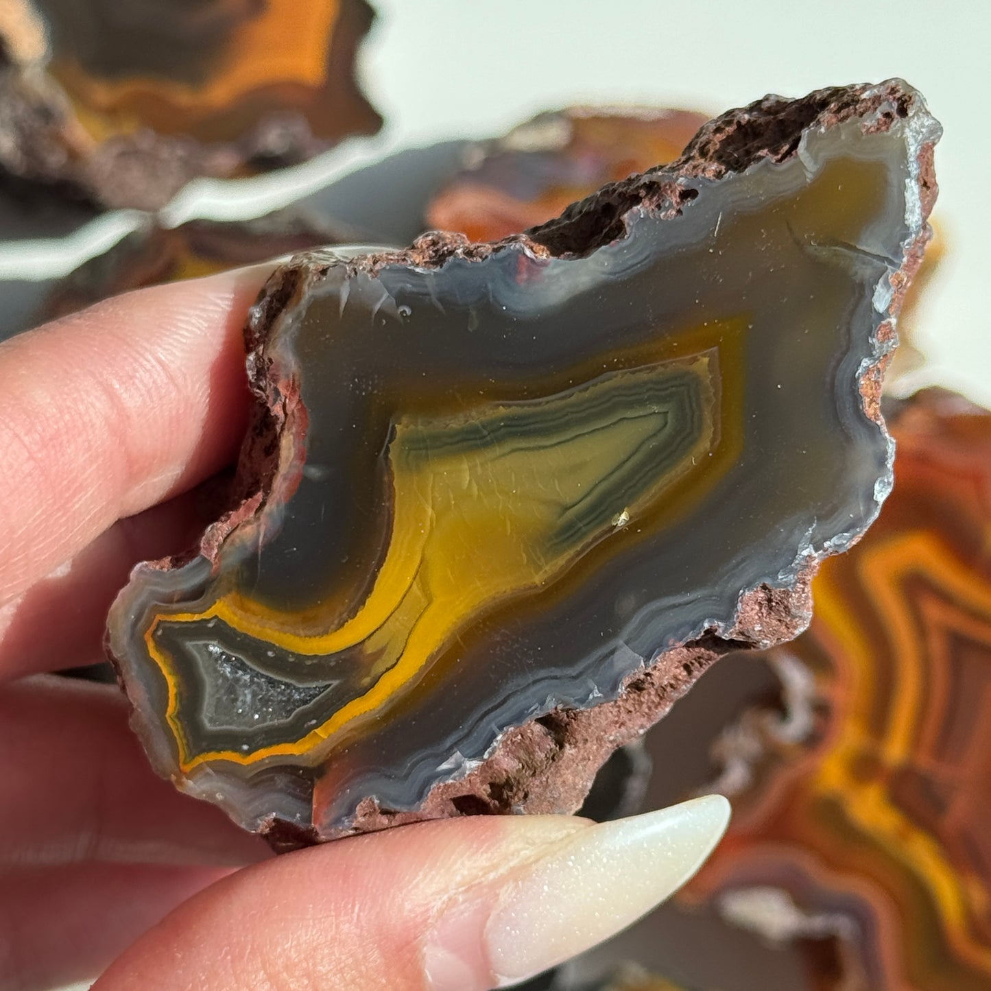 Condor Agate Geode [Argentina] #20
