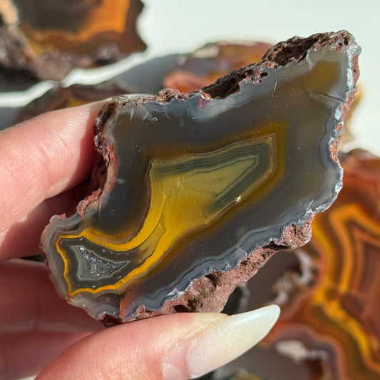 Condor Agate Geode [Argentina] #20
