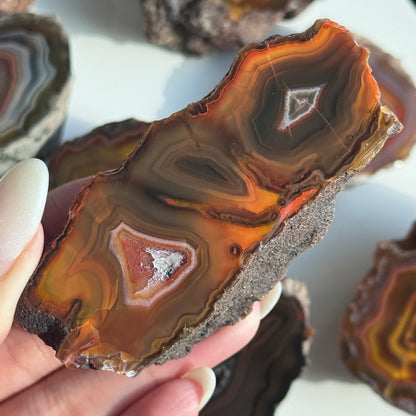 Condor Agate Geode [Argentina] #35