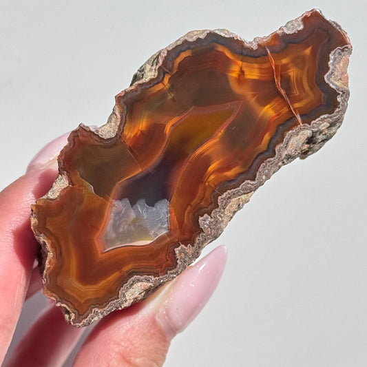 condor agate argentina