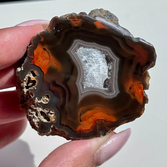 condor agate argentina