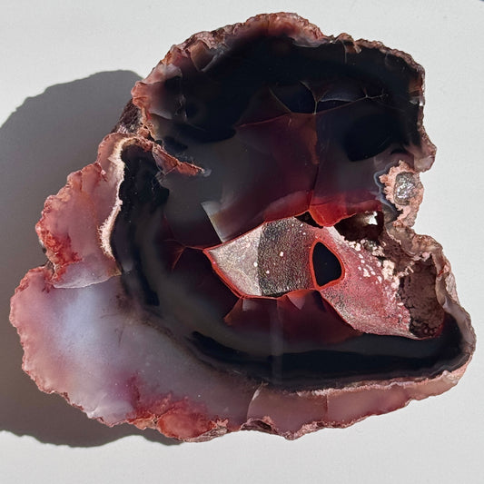 red fox agate argentina