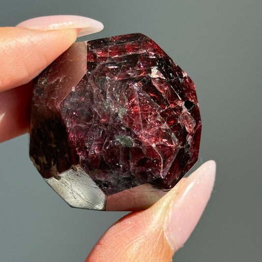 Gem Garnet #9
