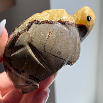 Septarian Turtle #2