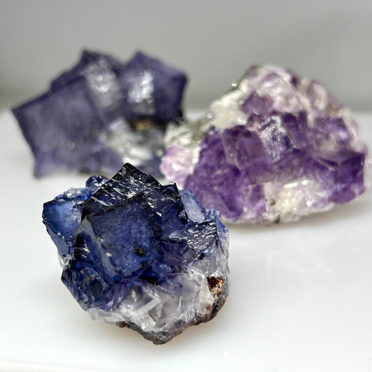 Fluorite w/ Sphalerite (Elmwood Mine)