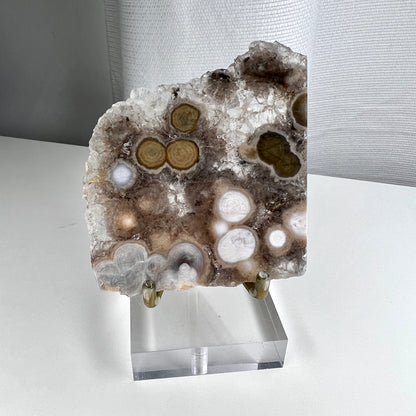 Old Stock - Druzy Ocean Jasper Slabs