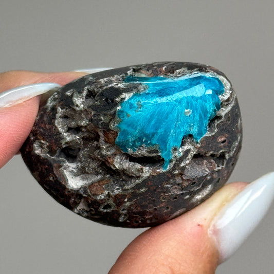 Polished Cavansite #4