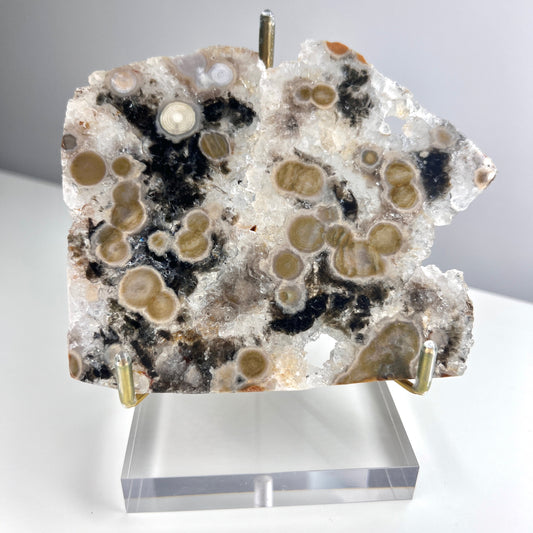 Old Stock - Druzy Ocean Jasper Slabs